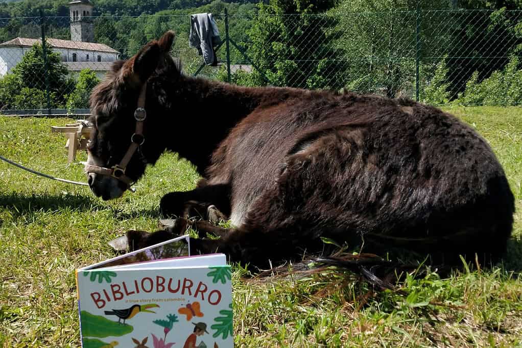 biblioburro