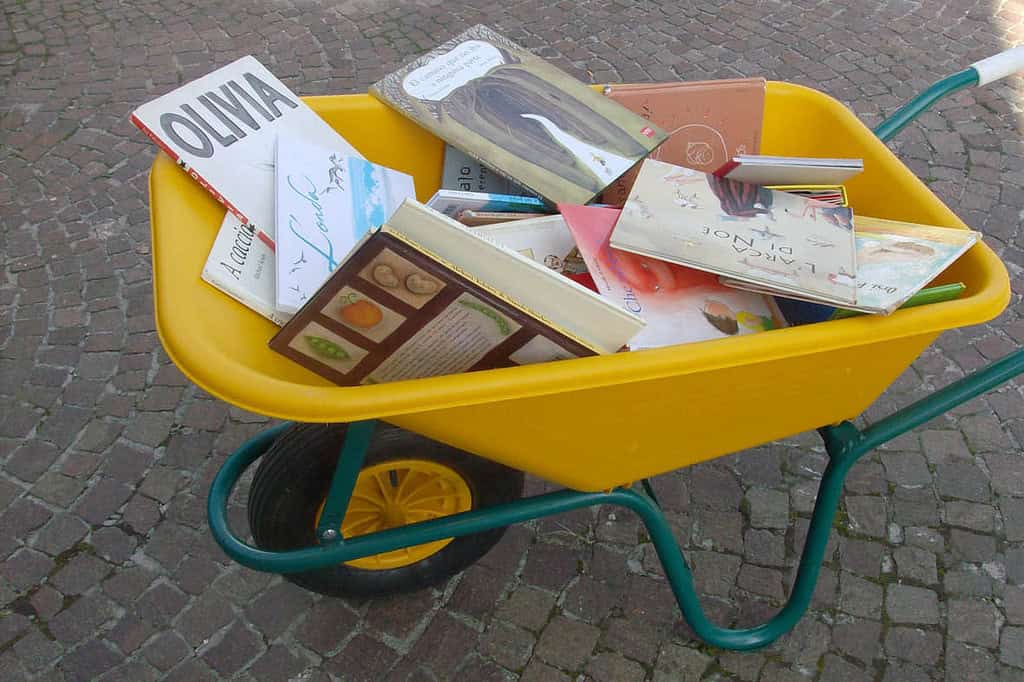 carriola libri